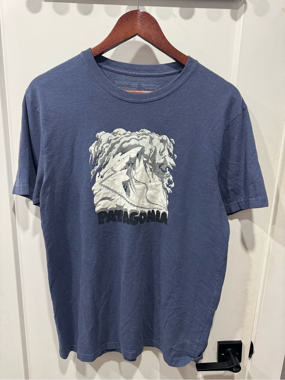 Patagonia Men's Blue Graphic Logo T‑Shirt (M)